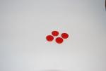 Franken Magnete  24mm rund rot 10 St/Pg